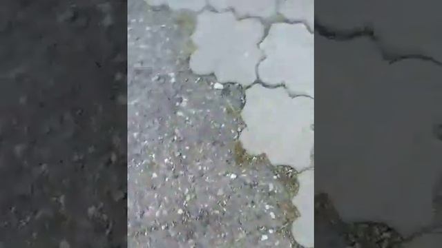 аджара гуджу по Къэбэрдей зэраншк