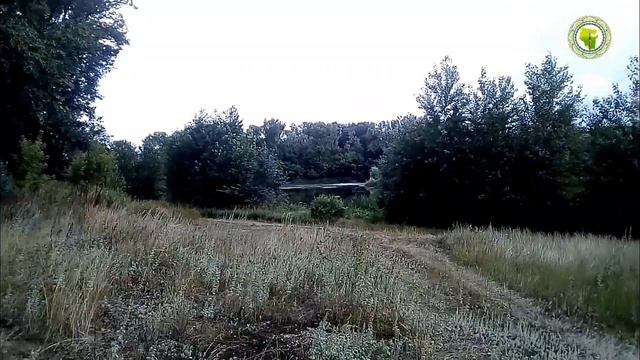 У подножия шихана Куштау.  Июль 2020 г.