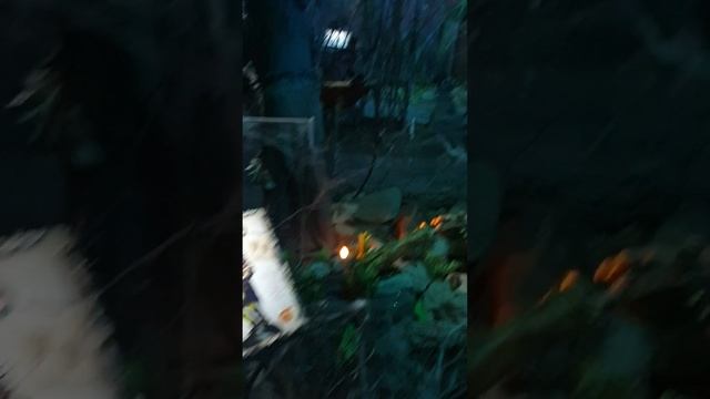 Бестиарий. Необычный музей в Санкт-Петербурге.
