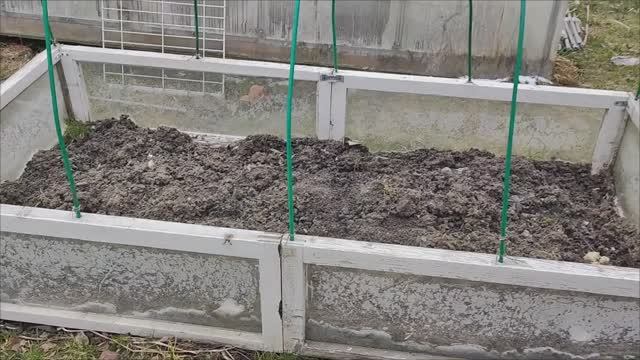 Парник - быстро и просто.