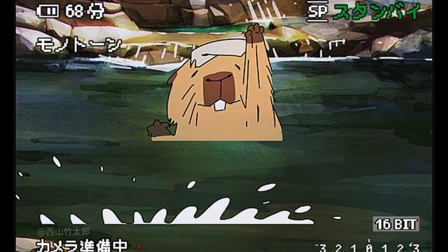 卡皮巴拉（Capybara)都在忙活什么