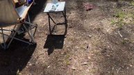 Выходные с палатками СПБ 2024 / друзья, походный костер, купаемся - хорошечно