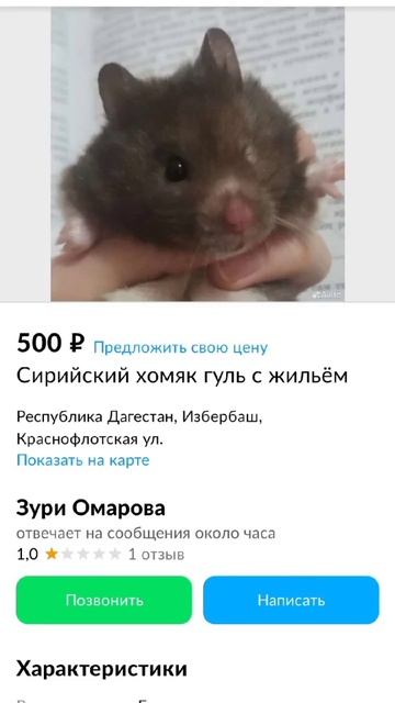 блин, бедный хомяк 😟