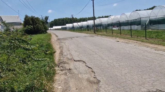 Дорога для общественного транспорта. Кто виноват и что делать?