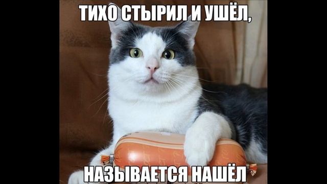 Тест на шизу часть 1