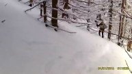 Пикуй ч. 2 11/2/2018