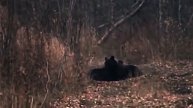 Приколы на ахоте