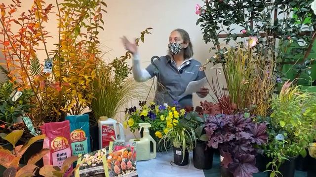 Fall Gardening: Should You Rake? And Other Questions & Tips