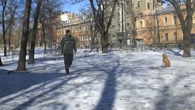 Изображение 022