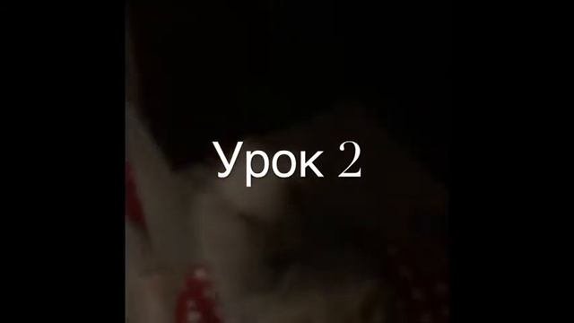 Померанский шпиц. Учится петь