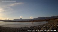 Амурский тигр и Верблюд отметились на одной фотоловушке