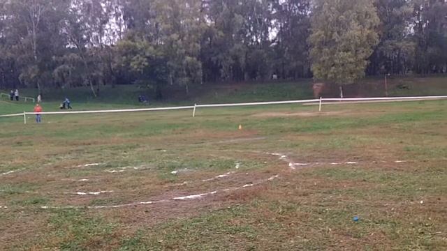 Суханова Ксения и НО Рада - дог-дартби 30.09.12