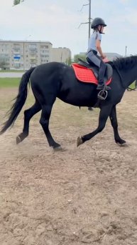 тренировки, тренировки. мои любимые тренировки