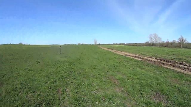 старое урочище радует находками