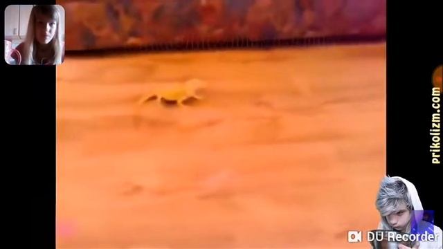 Челлендж: ПОПРОБУЙ НЕ ЗАСМЕЯТЬСЯ С ВОДОЙ ВО РТУ!