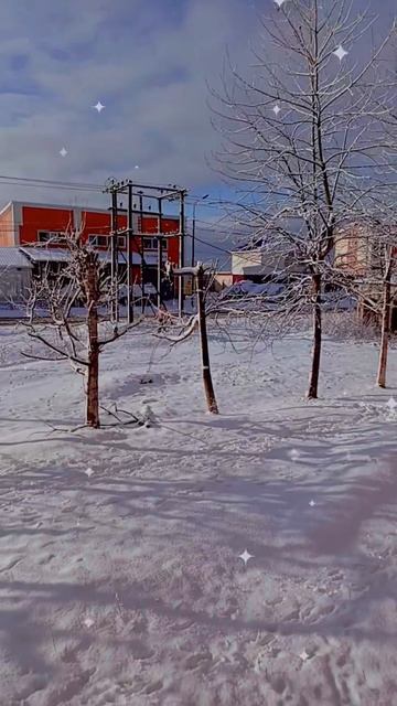 26.04.2025г Утро