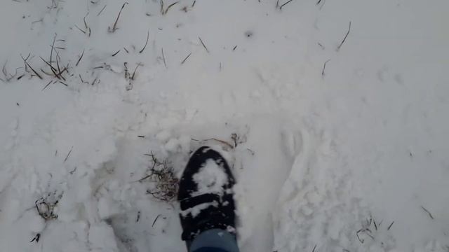 Снег в конце марта. Офигеть можно.