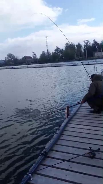 WhatsApp Video 2025-04-26 at 14.01.11
