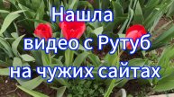 Нашла видео с Рутуб на чужих сайтах. Хорошо это или плохо???