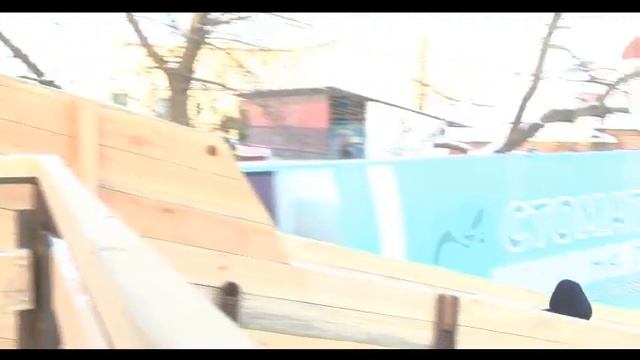 Пингвины в городе!