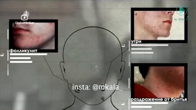 Факты о бороде!