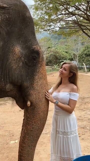 Заповедник слонов на Пхукете😍