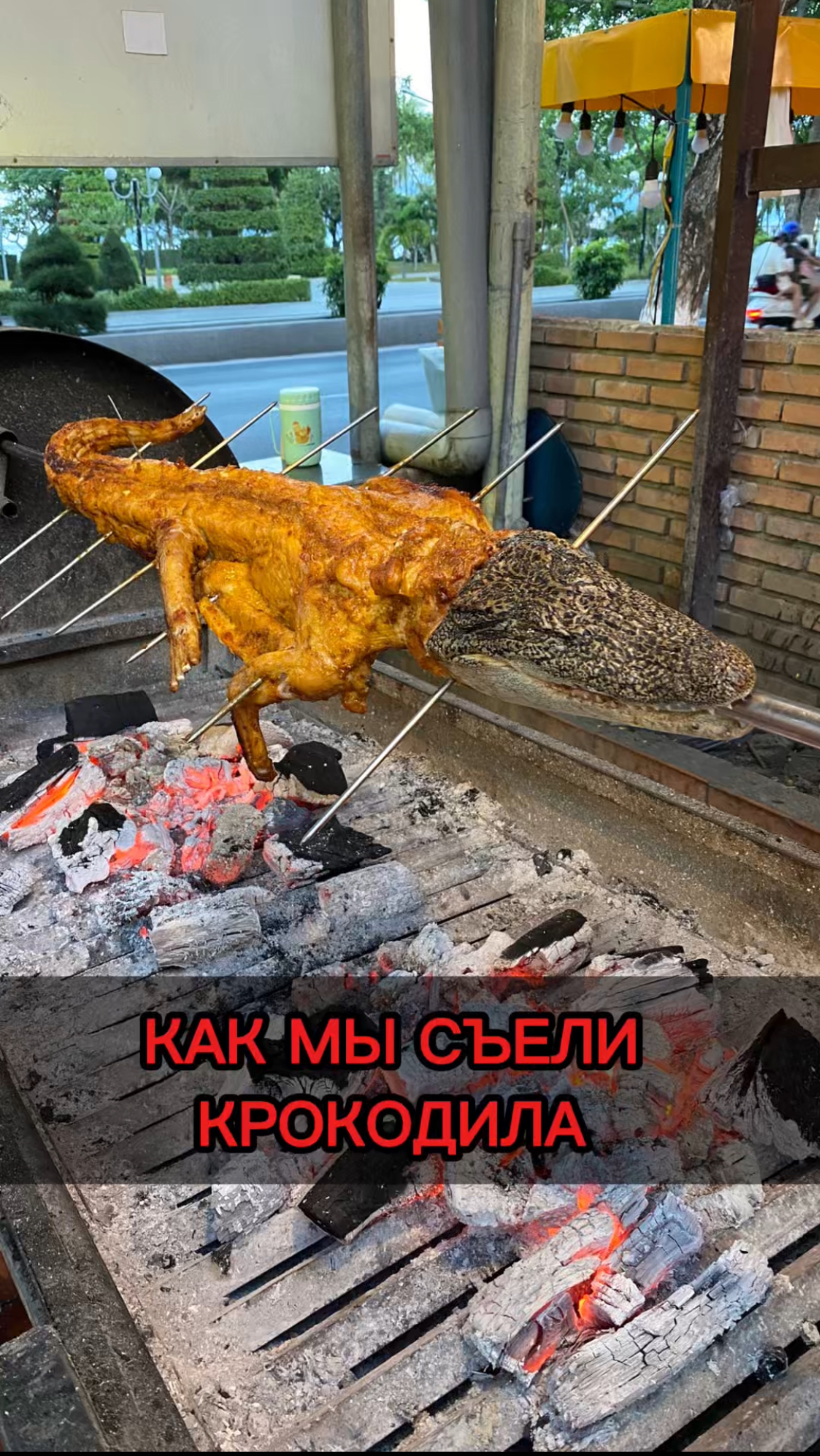 КАК МЫ СЪЕЛИ КРОКОДИЛА #смиройпомиру #помирусмирой #вьетнам #vietnam #нячанг #nhatrang #grillgarden
