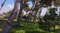 В парке Кейсарии-тиюль 02.24