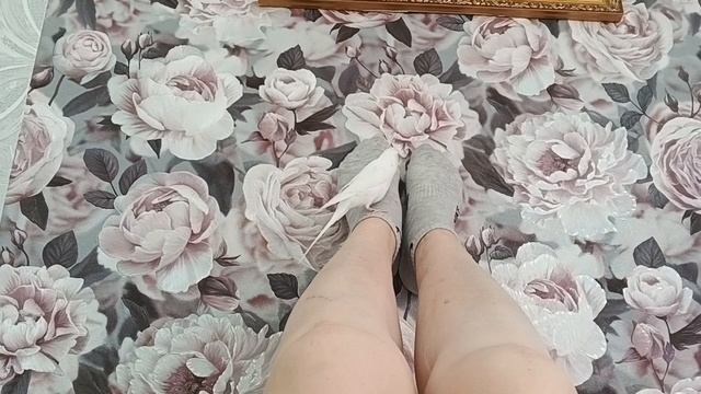 Пятница, пришла с работы ,устала.