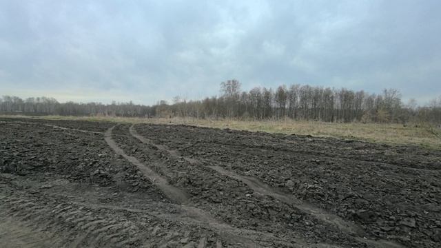 ГАРМОНИЯ