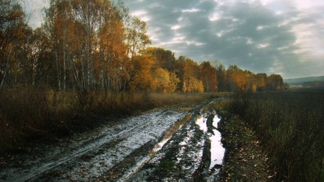 Серость, сл. В. Шентала, муз. и исп. ИИ SUNO