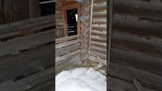 как им верить и доверять