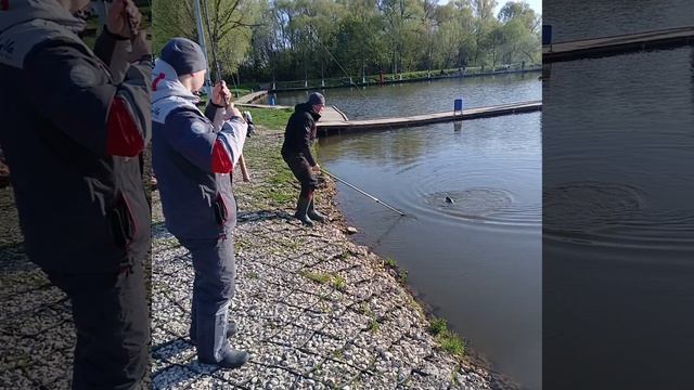 1000066544.mp4