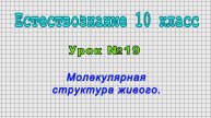 Естествознание 10 класс (Урок№19 - Молекулярная структура живого.)