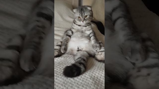 1000005249.mp4