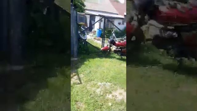 Доброе солнечное.