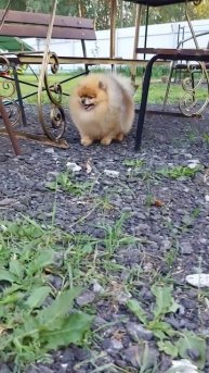 18 августа 2022 г.