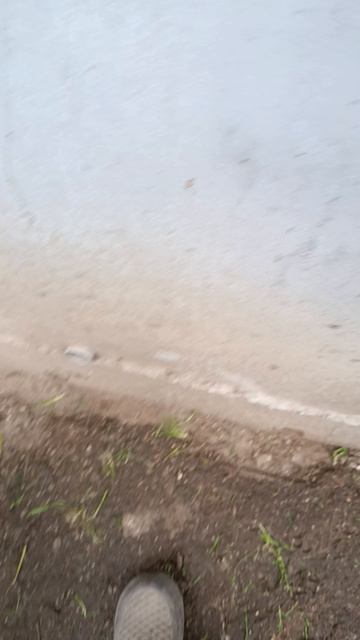 1000002838.mp4