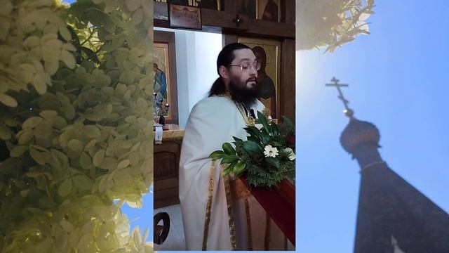 14.07.24. Светлый взгляд на мир
