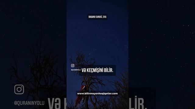Quran kerim Коран