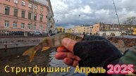 ГОРОДСКИЕ ХИЩНИКИ ПОГОДА КАК В СКАЗКЕ СТРИТФИШИНГ ПОИСК ОКУНЯ В РЕКАХ И КАНАЛАХ РЫБА КЛЕВАЛА ПАСИВНО