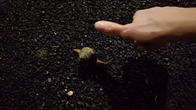 КРАСНОДАР,ПРЯМ НЕ ВЕРИТСЯ!!!-ЗАКАНЧИВАЕМ РЕМОНТ В ДОМЕ!