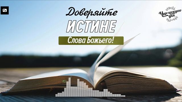 Ложь не становится правдой, когда мы в неё верим! | Чудо каждого дня