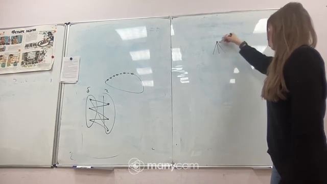 8 класс респа 03.02 С22(разбор критерия двудольности)