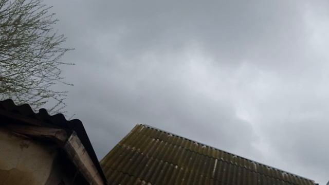 1000036819.mp4