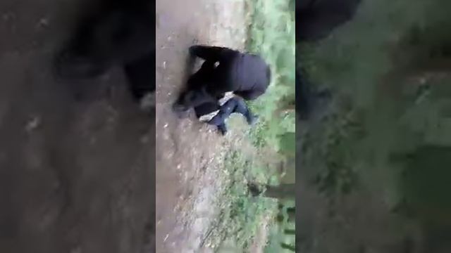 Ножевой прикладной бой. Снчуков Ю.Ю.