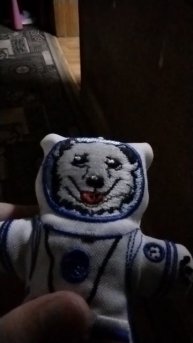 Ночной актив