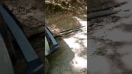 Нива карабкается на вершину