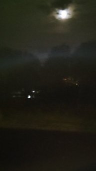 Лунная ночь на Волге...