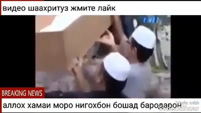 Азоби кабр